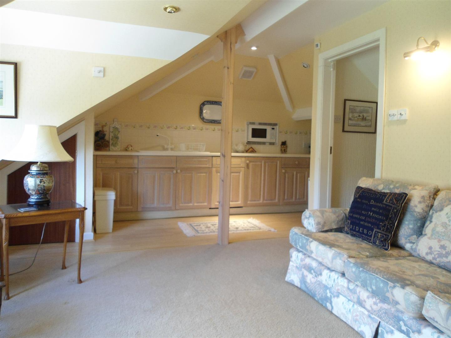 KITCHEN/LIVING ROOM